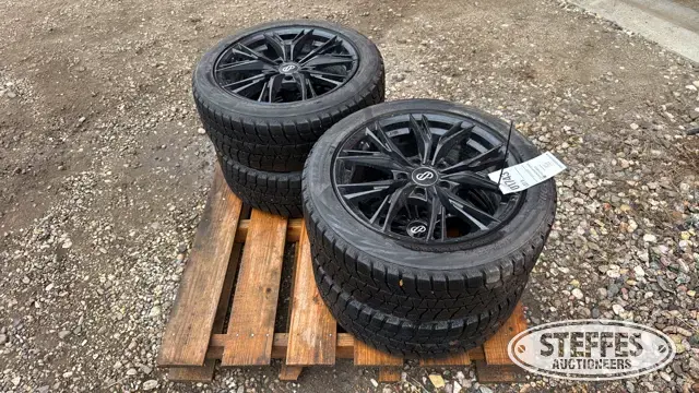 (4) Bridgestone Blizzak 215/50R17 tires