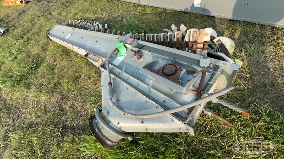 Intersystem Transfer Conveyor