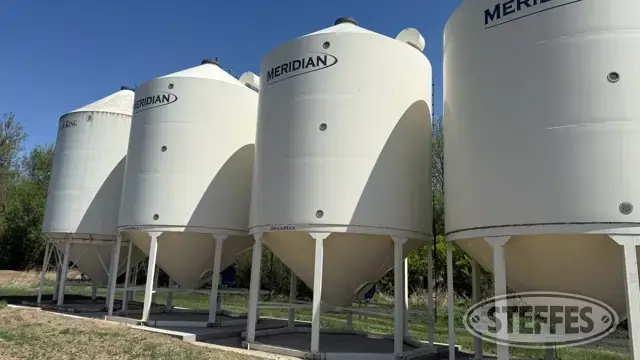 Meridian MGM3000