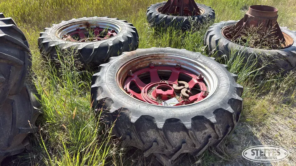 (2) 14.9-38 tires Farm Support Item