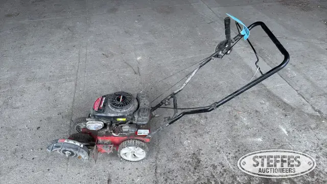 MTD 25B551A029