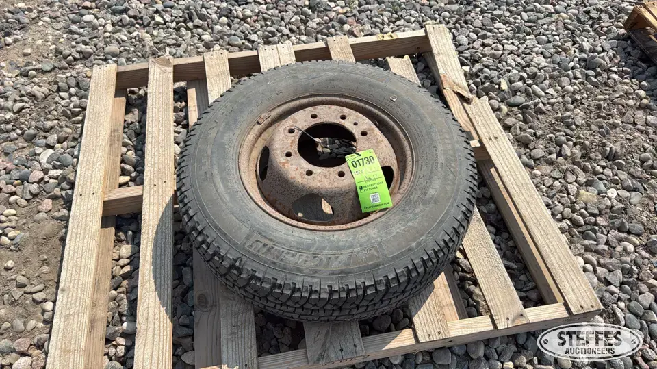 Michelin LT235/80R17 tire Passenger-Light Truck Tire