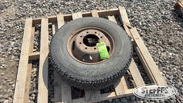 Michelin LT235/80R17 tire