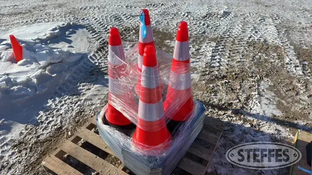 (29) Traffic cones