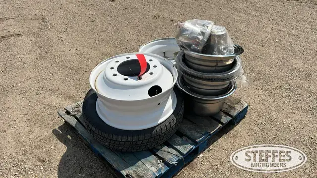 (2) 10-bolt steel wheels