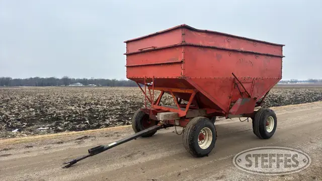 Minnesota 250