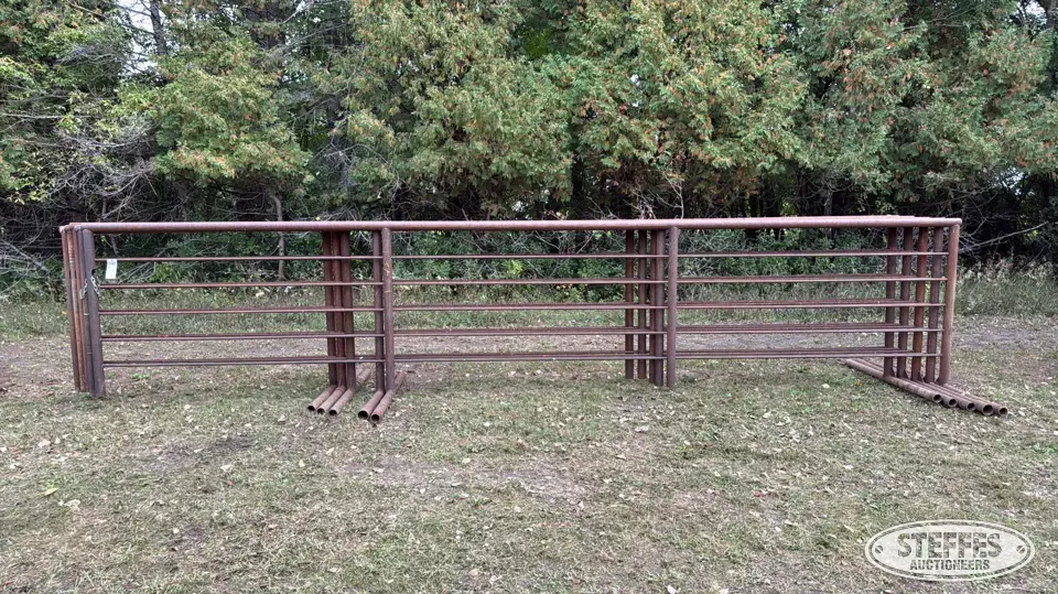 (5) Freestanding cattle panels Livestock Handling