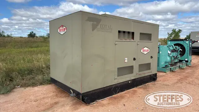 2012 Taylor TG250