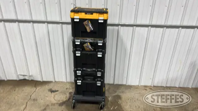 Asst. DeWalt T-stack boxes