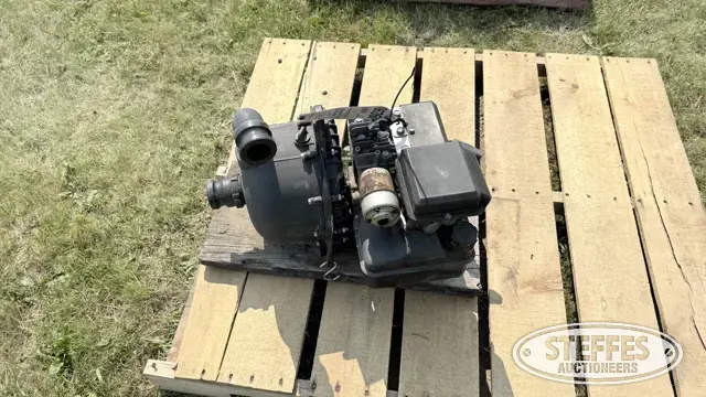 Briggs & Stratton pump