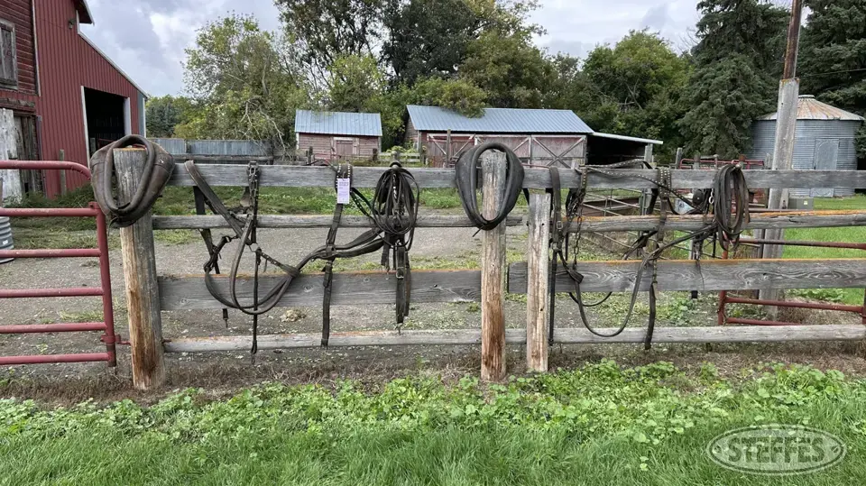 Harness Horse Drawn