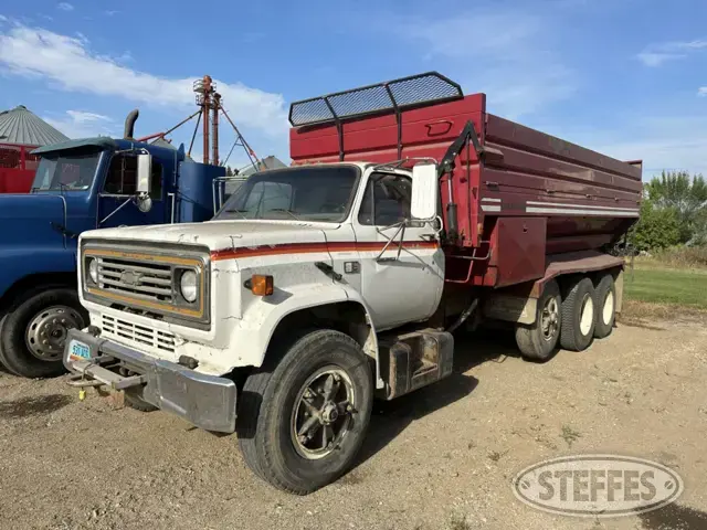 1981 Chevrolet