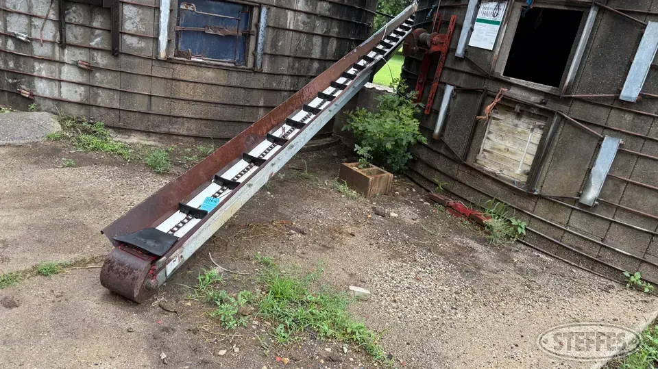 Loyal Chain conveyor Transfer Conveyor