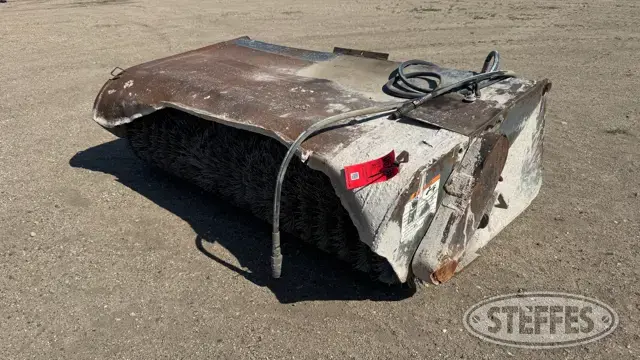 Bobcat