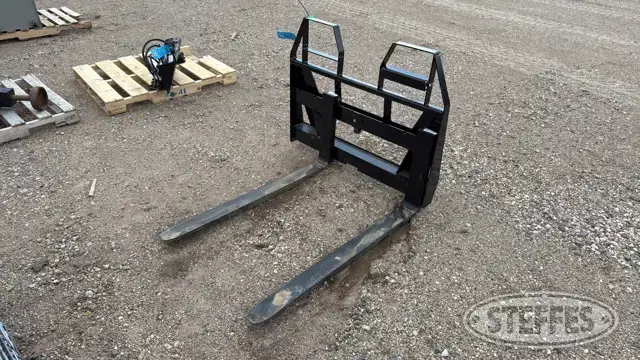 Pallet forks