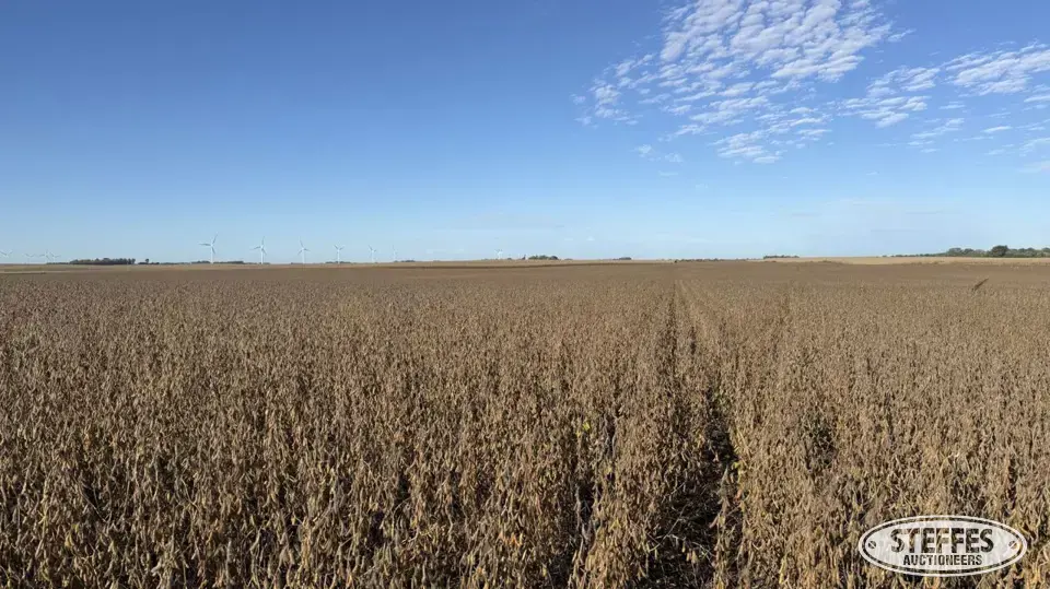 154.54± Acres – Osceola County, IA Farmland