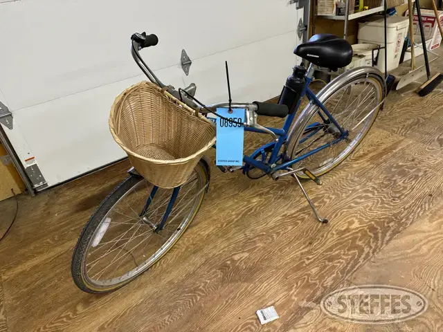 Schwinn Suburban