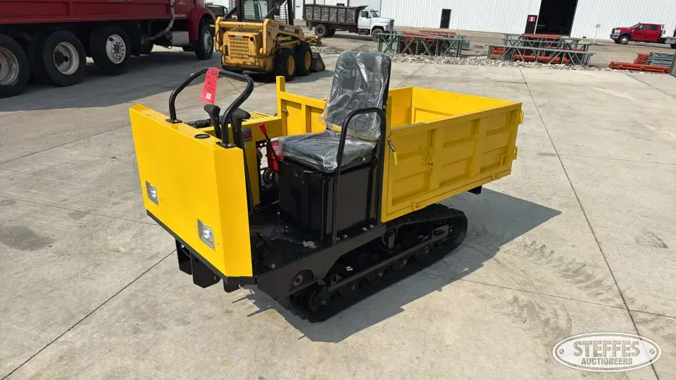 2026 CDWS25 Dump Cart