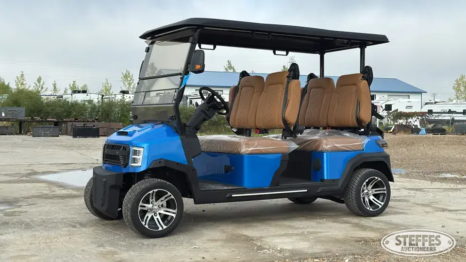 Custom Drive GT290-480 Golf Cart
