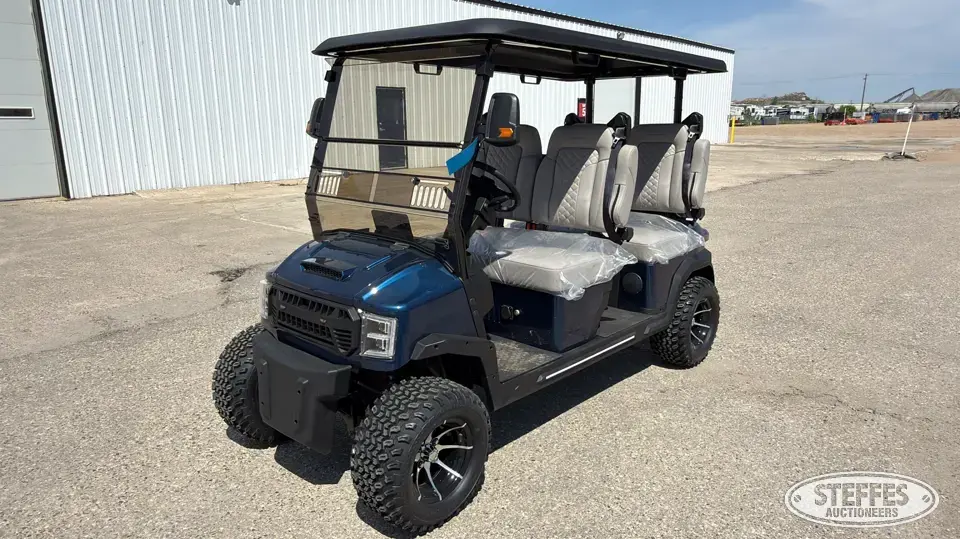 2025 Custom Drive GT290-580 Golf Cart
