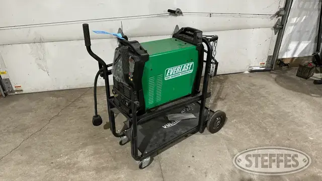 Everlast Powertig 250EX