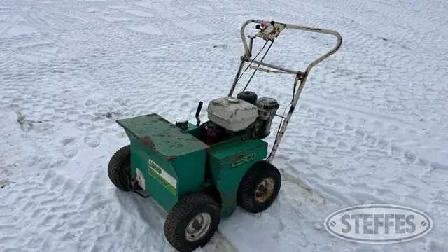 Lesco Renovator 20