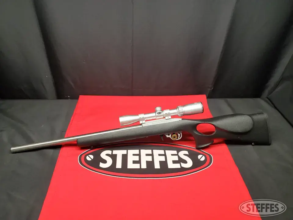 Ruger 10/22 Rifle