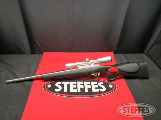 Ruger 10/22