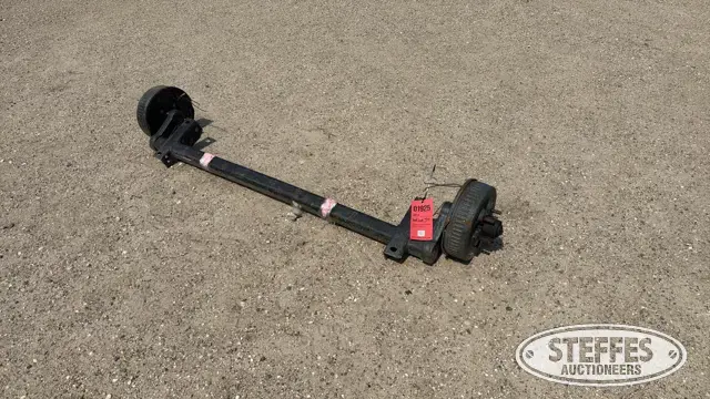 Dexter torsion axle