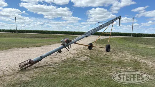 Hutchinson auger
