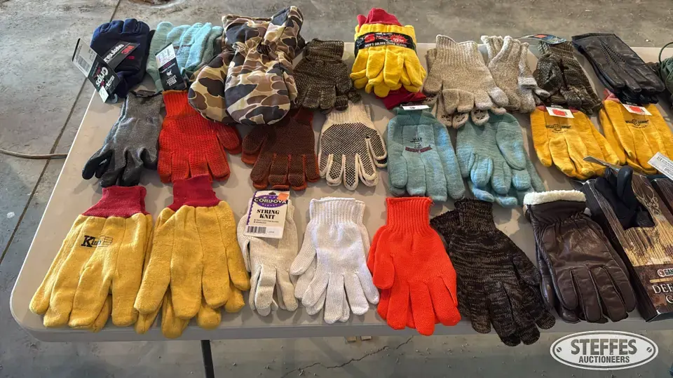 Several pairs gloves Personal Property