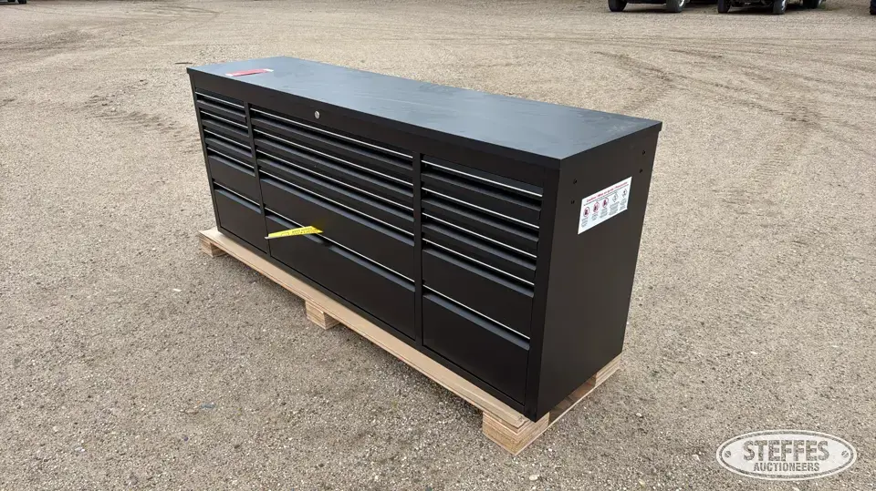 Tool cabinet Storage and Bench