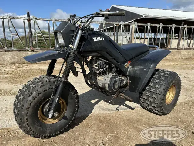 Yamaha 225DX