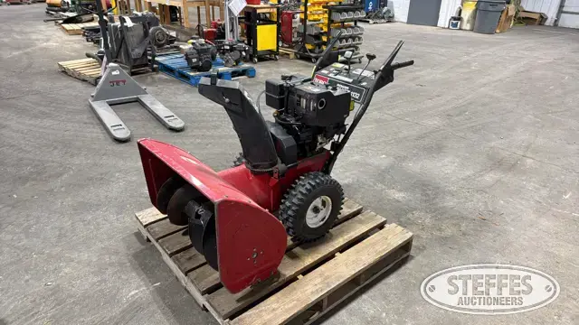 Toro 1132