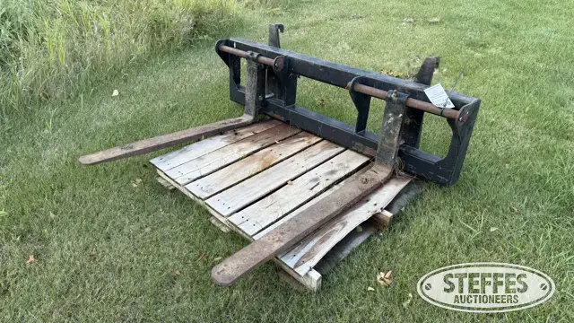 Loader forks