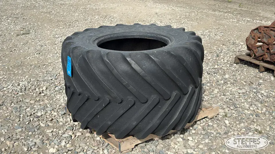 Goodyear Super Terra-Grip 54x31.00R26 tire Tractor-Implement Tire