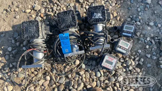 (3) Flowserve diaphragm transfer pumps