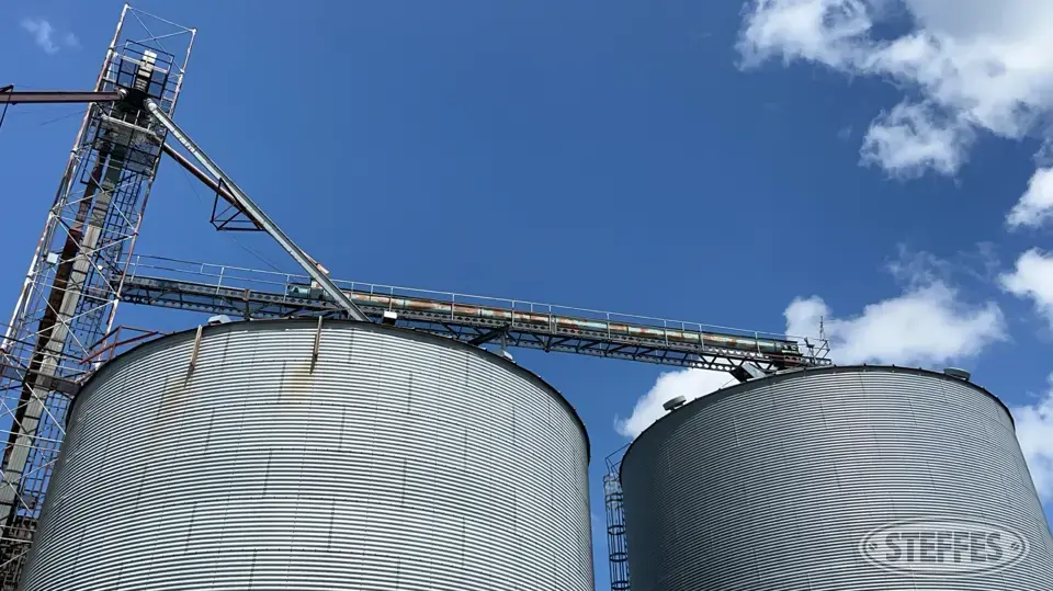 Transfer Conveyor w/Catwalk Grain Leg