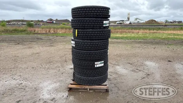 (8) Headway HLD811 295/75R22.5 tires