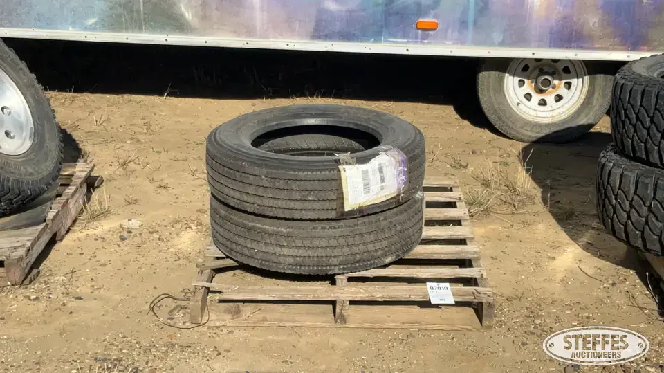 (2) 225/70R19.5 tires Passenger-Light Truck Tire