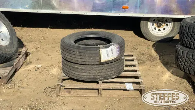 (2) 225/70R19.5 tires