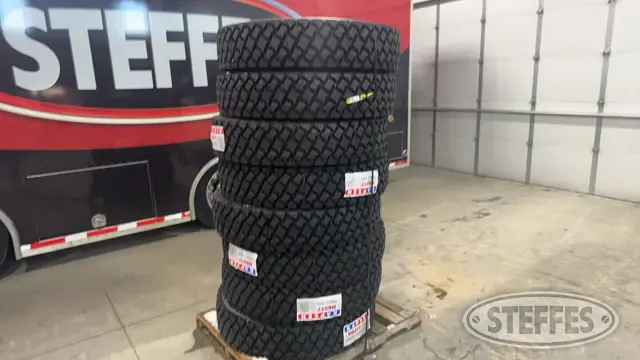 (8) Kapsen HS217 11R22.5 tires