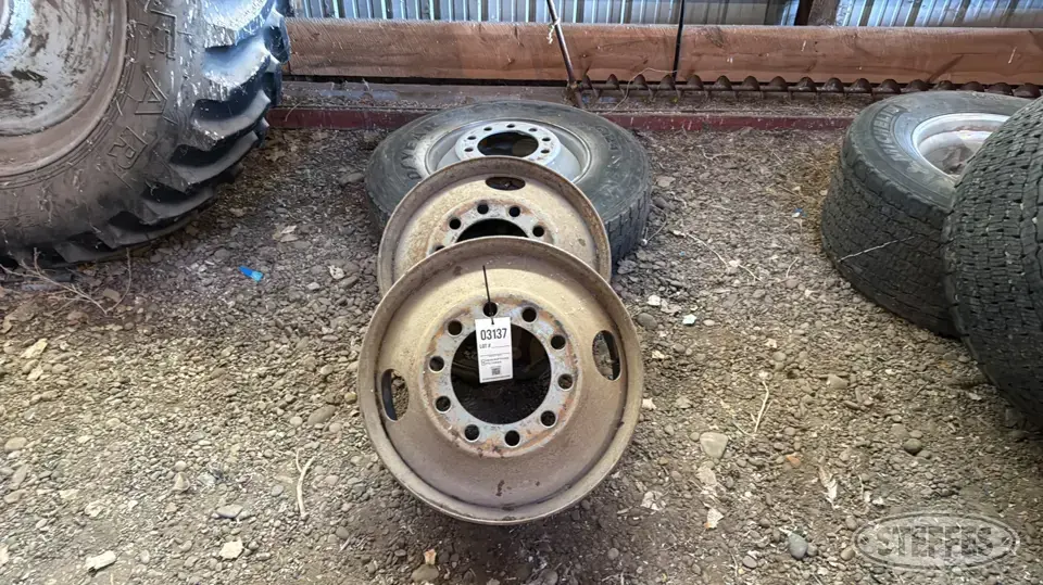 (3) Steel wheels Truck Tire