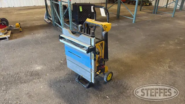 DeWalt DWE7491 table saw