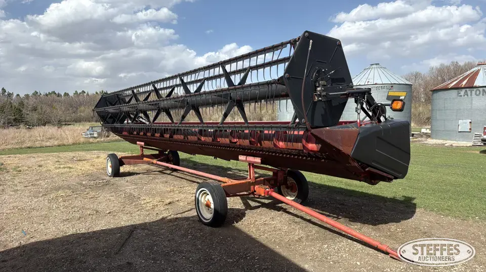 2001 Case IH 1010 Rigid Head