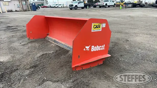 Bobcat