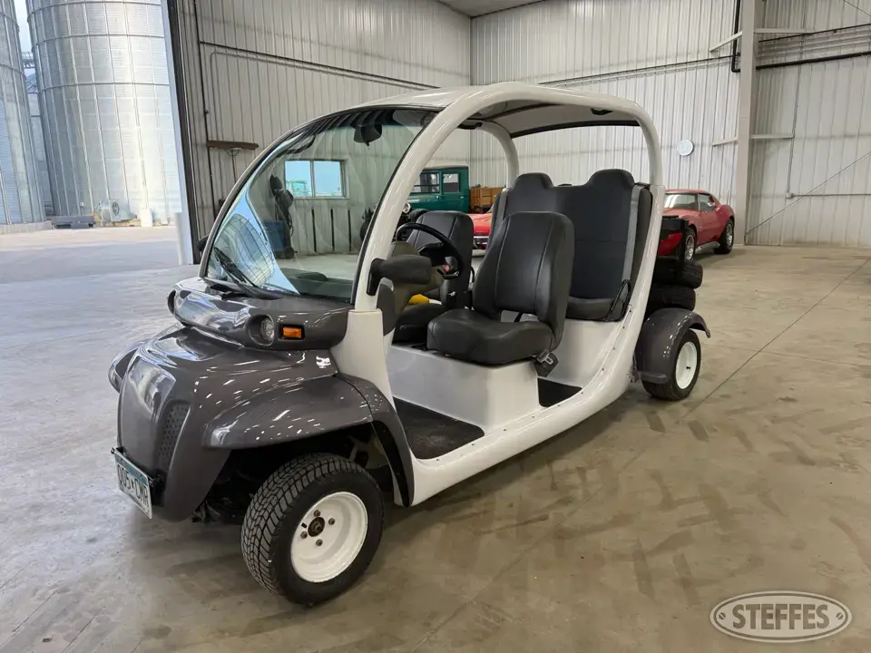 2002 GEM E825 Golf Cart