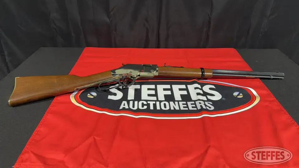 Henry Golden Boy Rifle