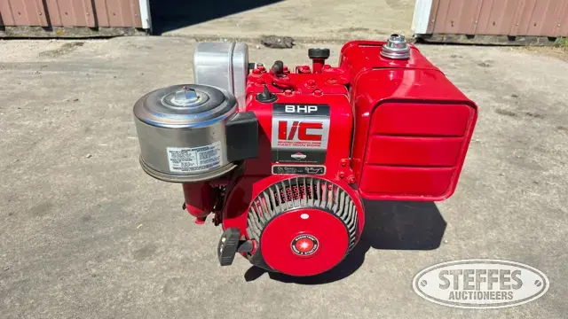Briggs & Stratton gas engine
