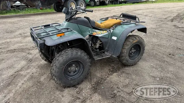 Arctic Cat 300